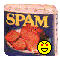 Spam2
